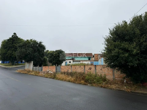 Foto Terreno
