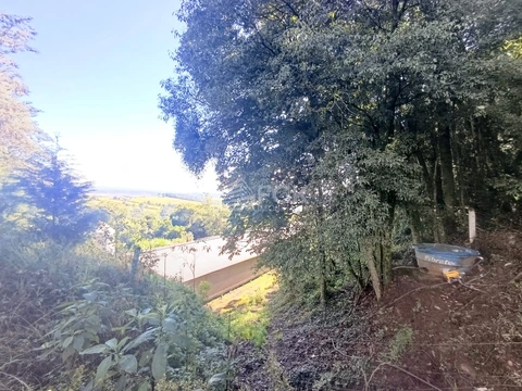 Foto Rural