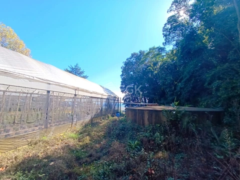 Foto Rural