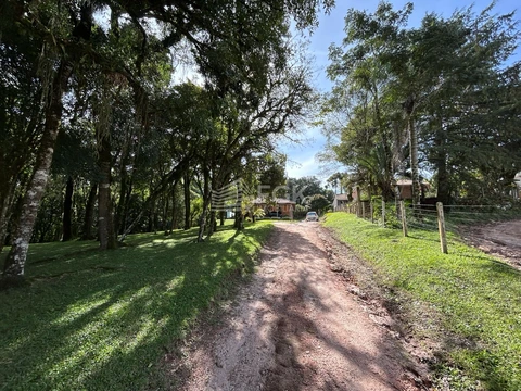 Foto Rural