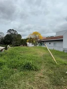 Terreno, Vila Santa Cruz, Castro/PR - Foto 3