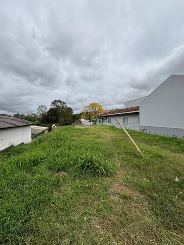 Foto Terreno