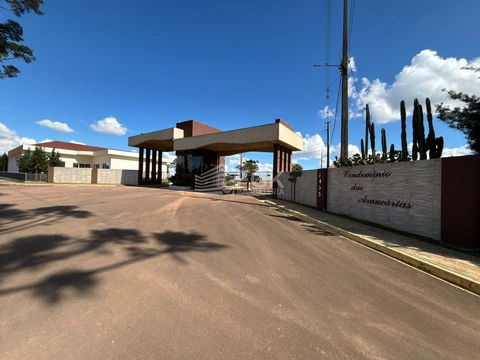 Foto Terreno