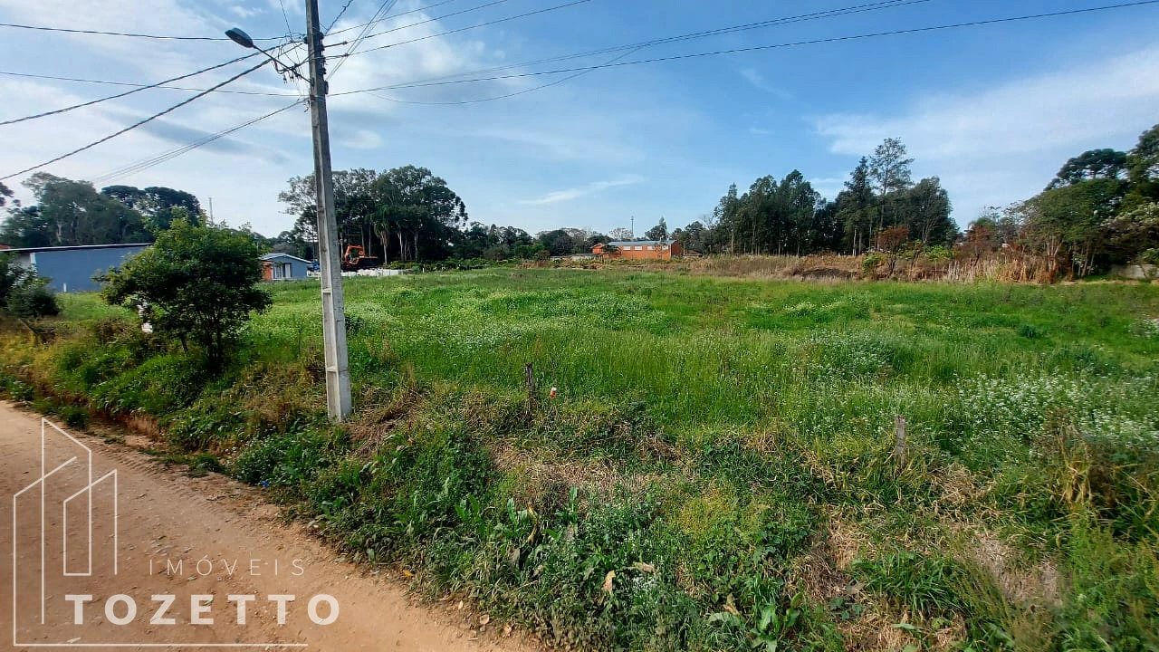 <strong>Vem dar uma olhada nesse ACHADO!</strong>