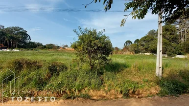 <strong>Vem dar uma olhada nesse ACHADO!</strong>