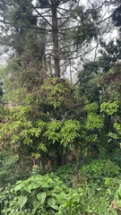 <strong>Terreno a 2 minutos do centro da cidade</strong>