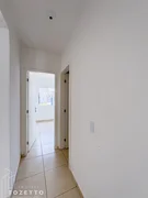 <strong>Casa  com amplo terreno nos fundos no Campo Belo, Uvaranas</strong>