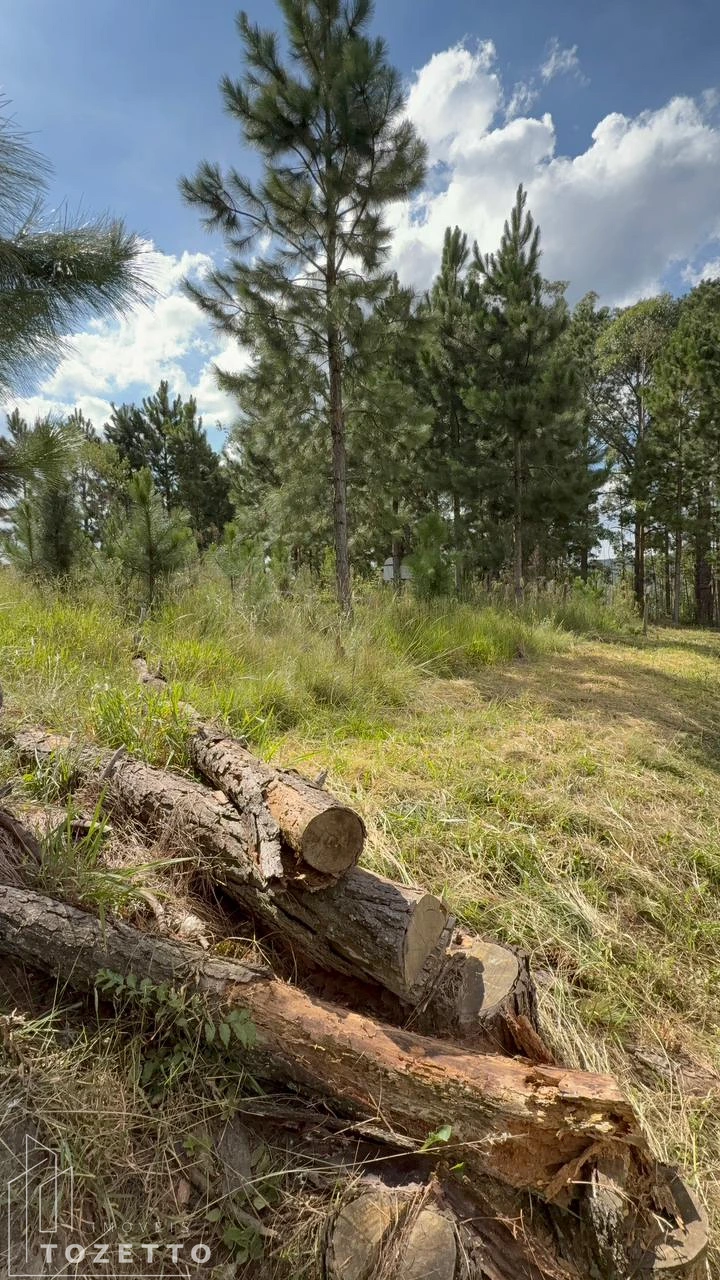 <strong>Terreno à venda em Itaiacoca - Excelente oportunidade!</strong>