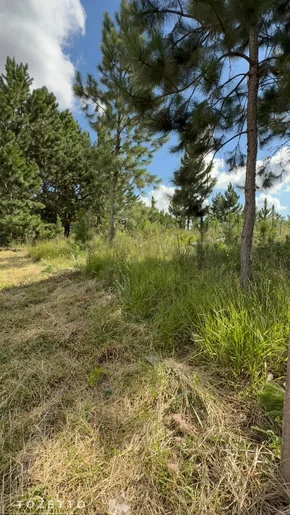 <strong>Terreno à venda em Itaiacoca - Excelente oportunidade!</strong>