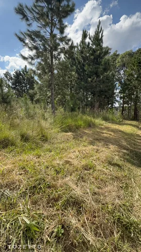 Terreno à Venda Em Itaiacoca - Excelente Oportunidade!