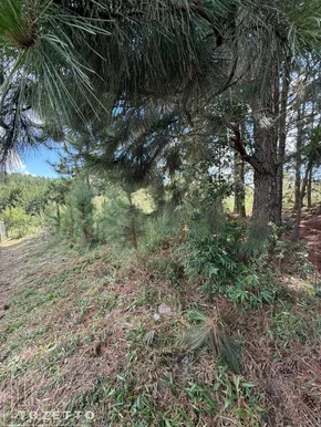 Terreno à Venda Em Itaiacoca - Excelente Oportunidade!