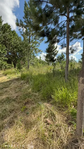 Terreno à Venda Em Itaiacoca - Excelente Oportunidade!