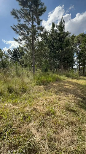 Terreno à Venda Em Itaiacoca - Excelente Oportunidade!