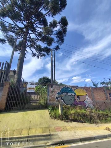 Foto Terreno