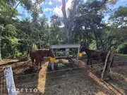 CHÁCARA À VENDA NO BISCAIA- ITAIACOCA - Foto 6