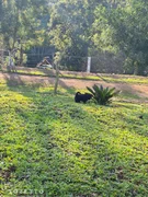 CHÁCARA À VENDA NO BISCAIA- ITAIACOCA - Foto 5