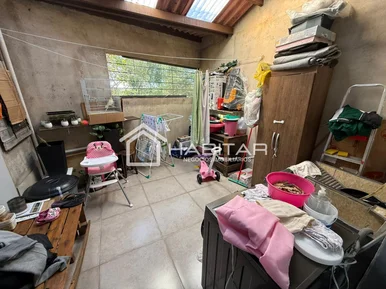 Miniatura - Foto Alpha Royal