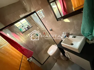 Miniatura - Foto Alpha Royal