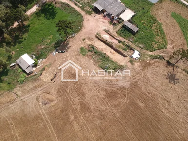 Miniatura - Foto Santa Leopoldina