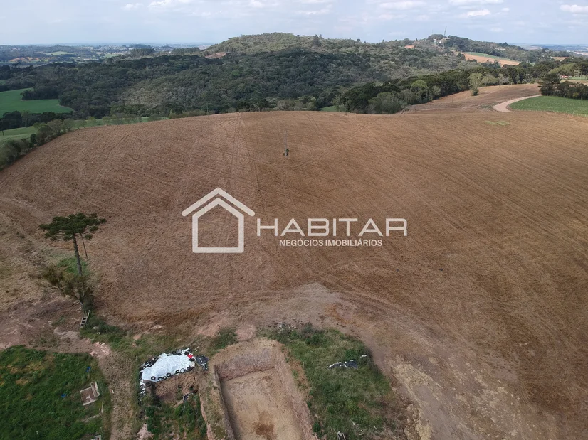 Foto Santa Leopoldina