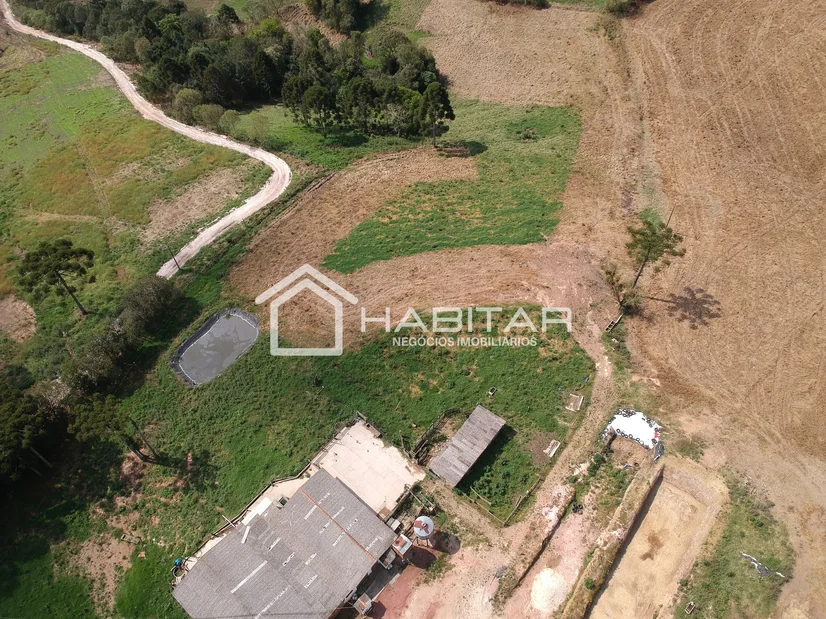 Foto Santa Leopoldina