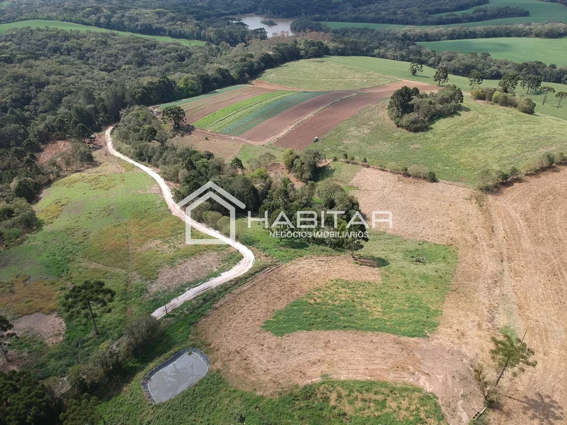 Foto Santa Leopoldina