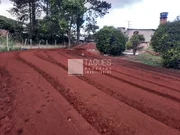 <strong>Terreno Comercial à venda ROD. BR 376 / DISTRITO INDUSTRIAL</strong>