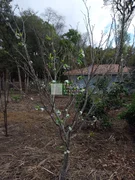 Chácara à venda em IMBITUVA / VALINHOS - Foto 3