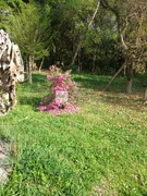 Chácara à venda em IMBITUVA / VALINHOS - Foto 4