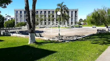 ótimo Apartamento Semimobiliado No Jardim Carvalho