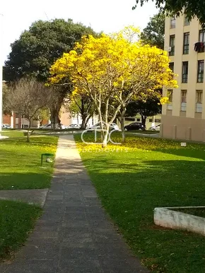 ótimo Apartamento Semimobiliado No Jardim Carvalho