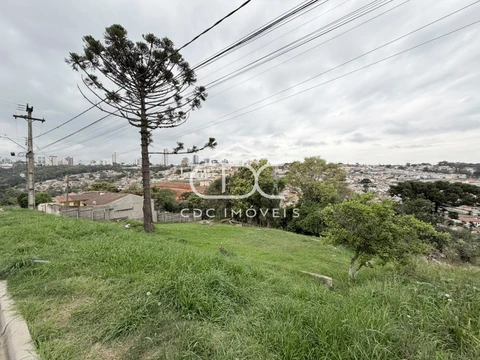 Foto Terreno