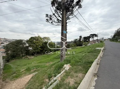 ÓTIMOS TERRENOS NA RONDA - Foto 2