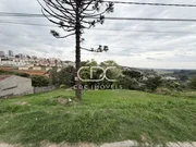 ÓTIMOS TERRENOS NA RONDA - Foto 3