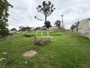 ÓTIMOS TERRENOS NA RONDA - Foto 5