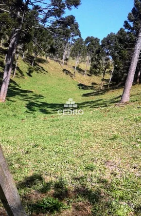 Chácara Com 5 Alqueires Em Itaiacoca