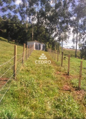 Chácara Com 5 Alqueires Em Itaiacoca