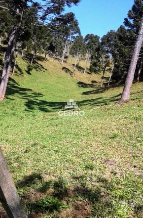 Chácara Com 5 Alqueires Em Itaiacoca