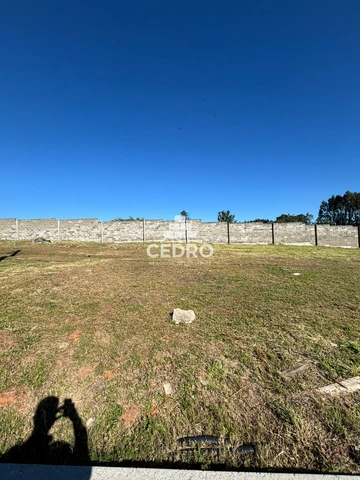 Foto Terreno