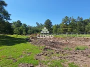 <strong>Chácara com 7000m² na Colônia Dona Luiza</strong>