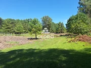 <strong>Chácara com 7000m² na Colônia Dona Luiza</strong>