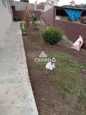 Casa Com 3 Quartos Em Uvaranas