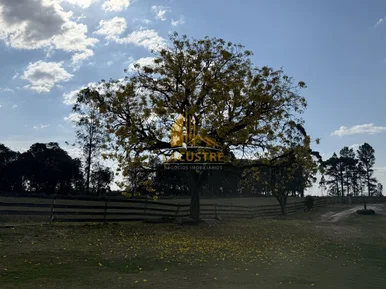 <strong>Chácara no Campo do Piraí para venda</strong>