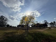 <strong>Chácara no Campo do Piraí para venda</strong>