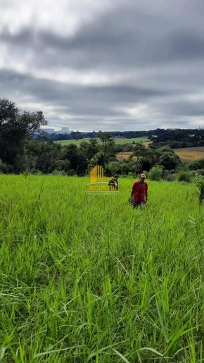 <strong>CHÁCARA NO BAIRRO SANTO ANTÔNIO</strong>