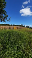 <strong>CHÁCARA NO BAIRRO SANTO ANTÔNIO</strong>