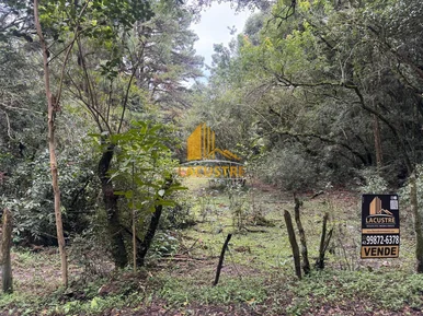 <strong>Área Rural, Jardim Samambaia, Castro PR.</strong>