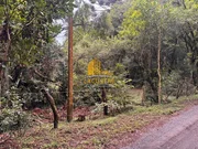 <strong>Área Rural, Jardim Samambaia, Castro PR.</strong>