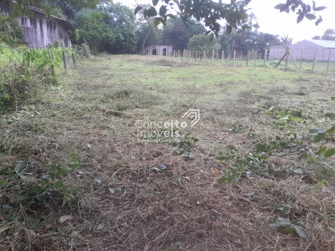 Foto Terreno