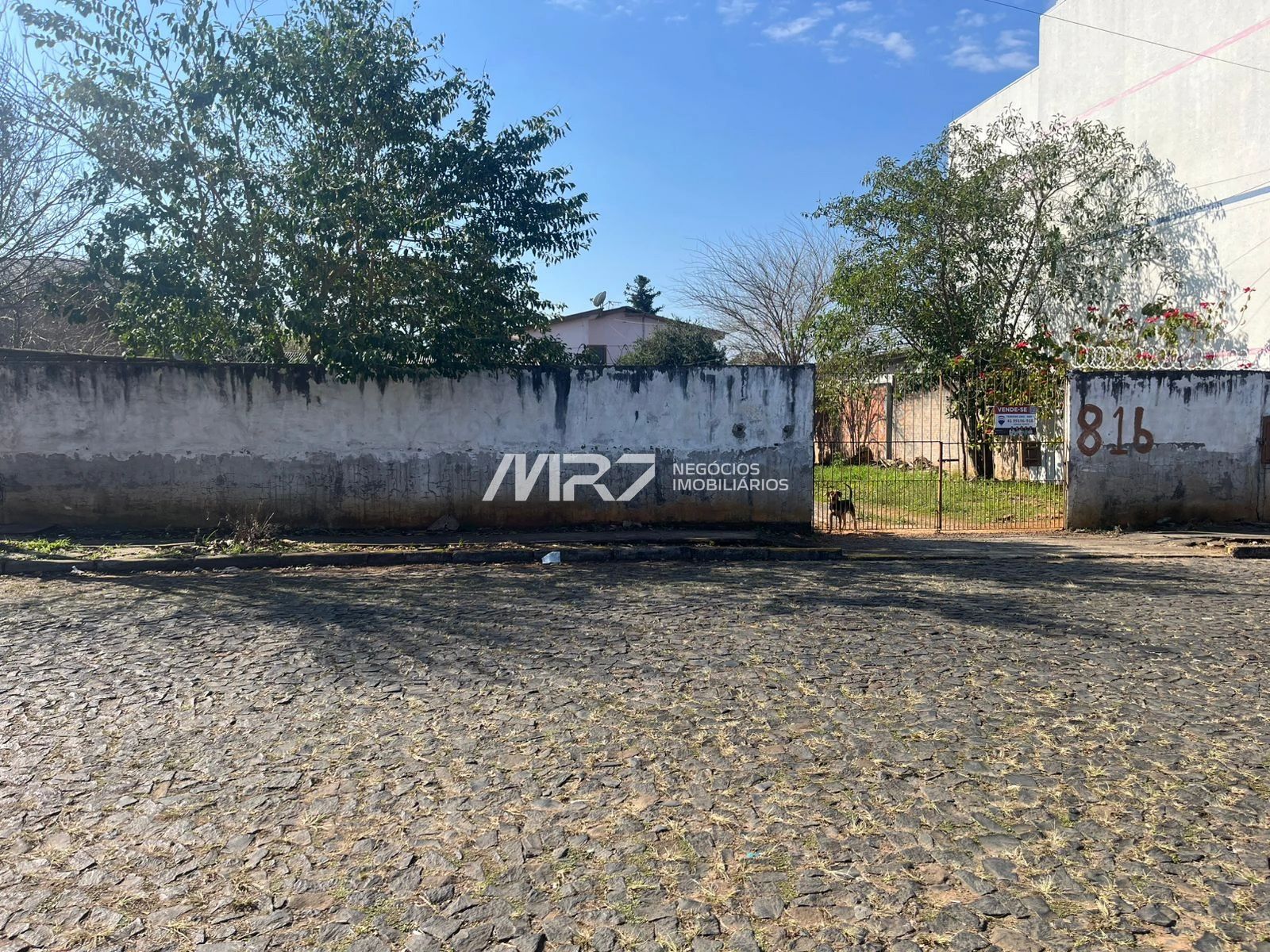 Terreno - Nova Russia - Rua Couto Magalhães